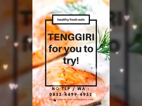 Distributor Ikan Tenggiri !!!, No Tlp/WA:0852-4499-4952(TSEL), Jual Ikan Tenggiri di Tanggerang