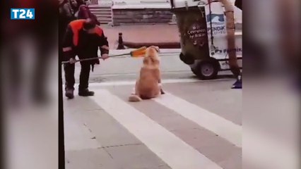 Sokak köpeğine hem masaj yaptı, hem temizledi