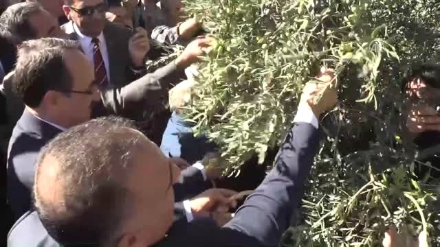 2. Altınözü Zeytin ve Zeytinyağı Festivali - Canan Karatay