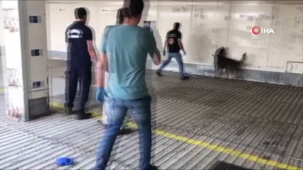 Mersin Limanında yaklaşık 11 kilogram kokain ele geçirildi