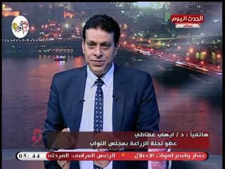 النائب إيهاب غطاطي يكشف سبب اعتراضه على حظر تداول الدواجن الحية فى الاسواق