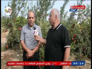 سيد الباز خلال لقاء مع مستثمر زراعي نجح في التخلص من ملوحة التربة