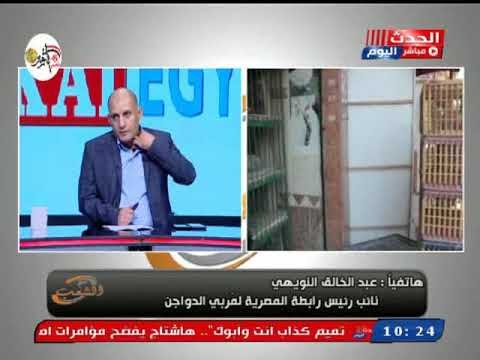 رئيس رابطة مربي الدواجن عن قرار منع تداول الدواجن الحية: المخرج الوحيد لصناعة الدواجن