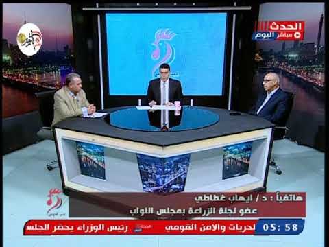 النائب ايهاب غطاطى عن اعفاء 100 الف طن من الدواجن من الجمارك: قرار صائب ولدينا عجز