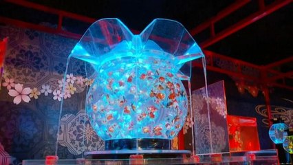 شاهد: جمال أخاذ للأسماك الذهبية في عرض ياباني للأحواض المائية