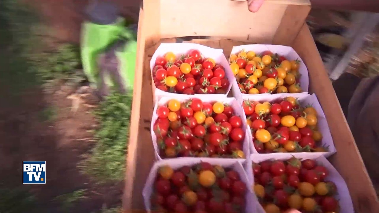 Moribond dans les années 70 Trémargat est devenu le village idéal