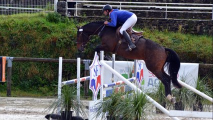 Falkho des  Edènes. Championnat de France des Etalons. Saut monté