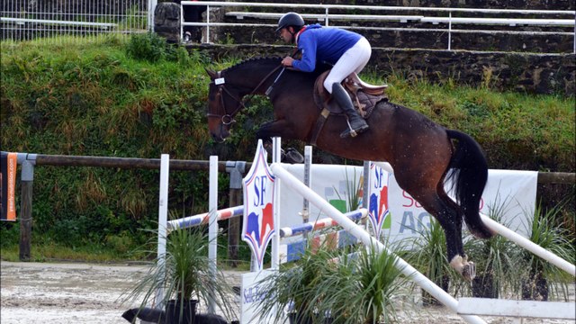 Falkho des Edènes. Championnat de France des Etalons. Saut monté