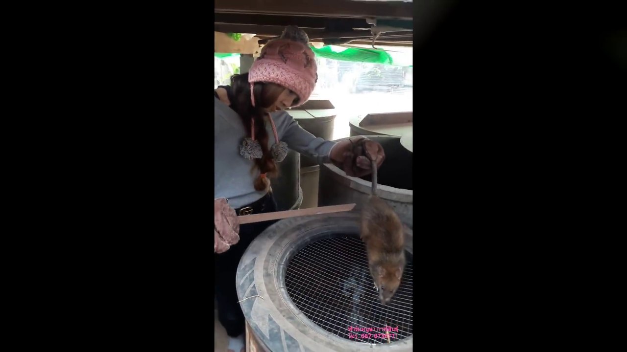 Elle nous fait visiter son élevage de rats au Vietnam