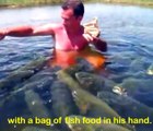 Cet homme est entouré de centaines de gros poissons