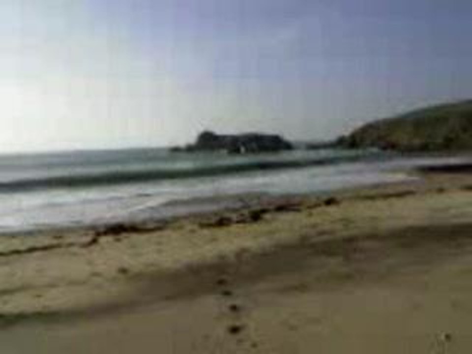 Vidéo(28)