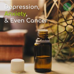 The Oil that has the Potential to Fight Migraines, Depression, Anxiety, & Even Cancer