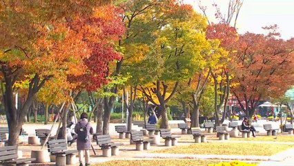 [날씨] 쌀쌀한 휴일, 요란한 가을비...벼락·우박 / YTN