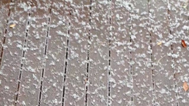 수도권 곳곳에 지름 1.3cm 우박 쏟아져 / YTN