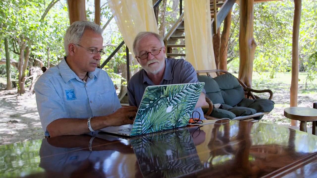 BBC Natures Turtle Nursery Secrets from the Nest  part 2/2