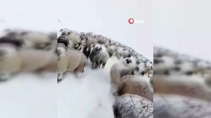 Yaylalardan göçe kar engeli