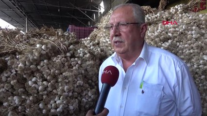 Adana Talep Görmeyen Sarımsaklar Çöpe Gidiyor