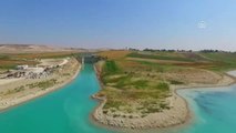 Atatürk Barajı'nda Alabalık Üretim Atağı