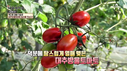 손가락 터치 한 번으로 농사를 짓는다?!