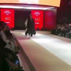 Mankenlik yapan sokak kedisi