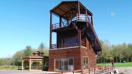 Ferizli Gölkent Gölü turizme kazandırılıyor - SAKARYA