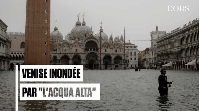 Toiles de Miró trempées, pizzeria les pieds dans l'eau : les images historiques de Venise inondée