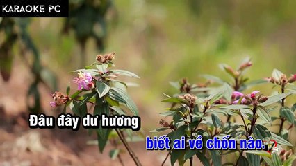 Karaoke Hoa Tím Ngày Xưa - Khưu Huy Vũ