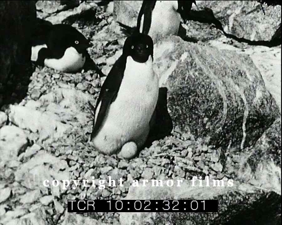 Images d'un été