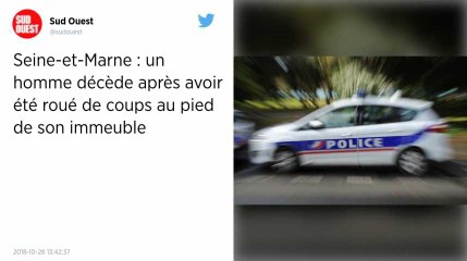 Seine-et-Marne : un homme meurt après avoir été agressé par une dizaine de personnes munies de barres de fer