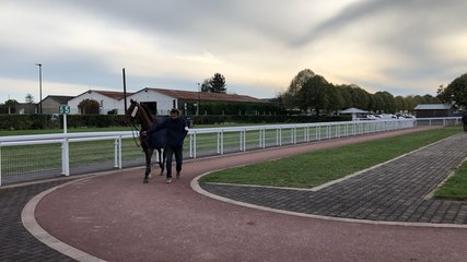 Une course « à réclamer » à l’hippodrome