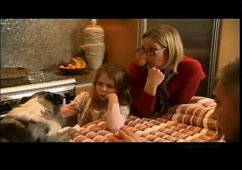Dog Whisperer With Cesar Millan S06E14