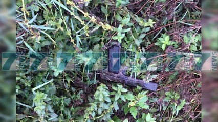 ARRESTOHET NE KAMEZ DHUNUESI I PAGUAR - News, Lajme - Kanali 7