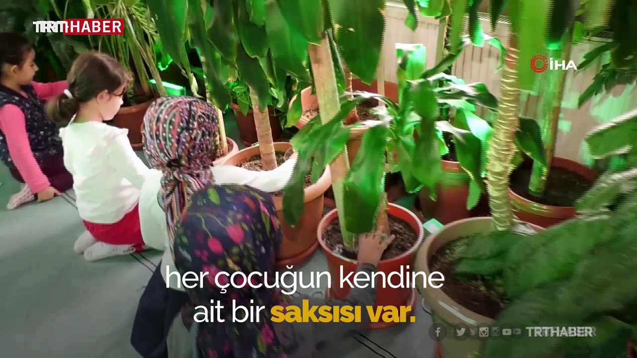 İmam camiyi botanik bahçesine dönüştürdü