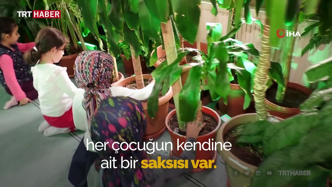 İmam camiyi botanik bahçesine dönüştürdü