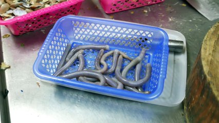 Cette spécialité chinoise va vous dégoûter : vers de sable