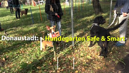Hundegarten Safe & Smart