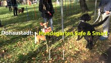 Hundegarten Safe & Smart