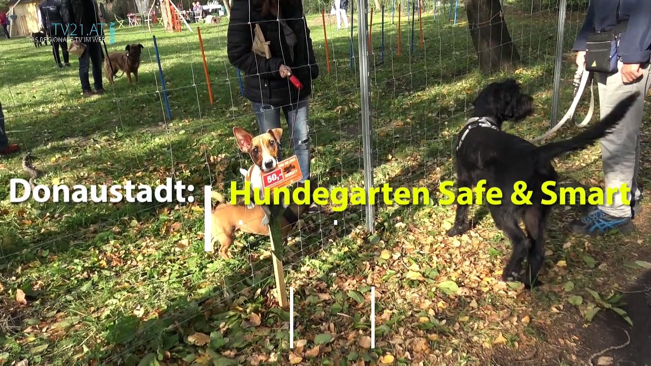 Hundegarten Safe & Smart