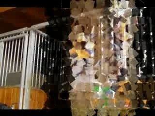 tim0n la belette & i0n le li0n