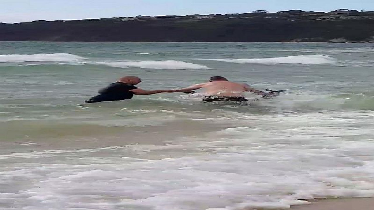 Polizisten retten Känguru aus dem Meer