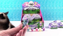 Hatchimals Unikeets Season 4 Special Edition 2 Pack Full Box Opening _ PSToyReviews
