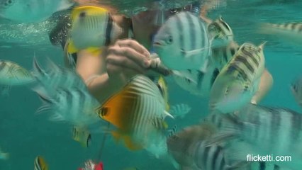 Snorkeling  in Bora Bora
