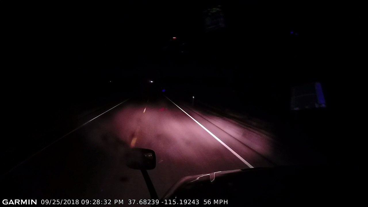 Deer in the Headlights