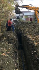 Cow Trapped in Construction Trench