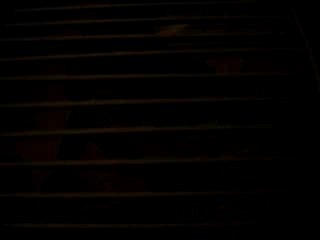 Jean-François La Garde de la Tome of Versailles I [VIP]