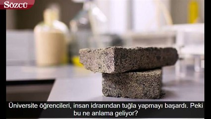 İnsan idrarından tuğla üretildi