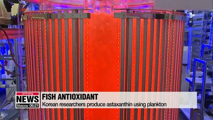 Korean researchers manufacture fish antioxidant
