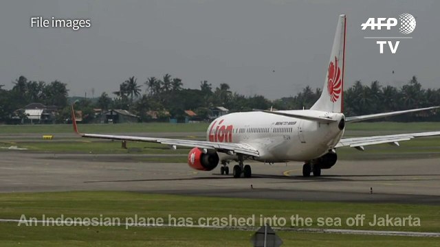 Indonesian Lion Air plane crashes into sea with 188 on board