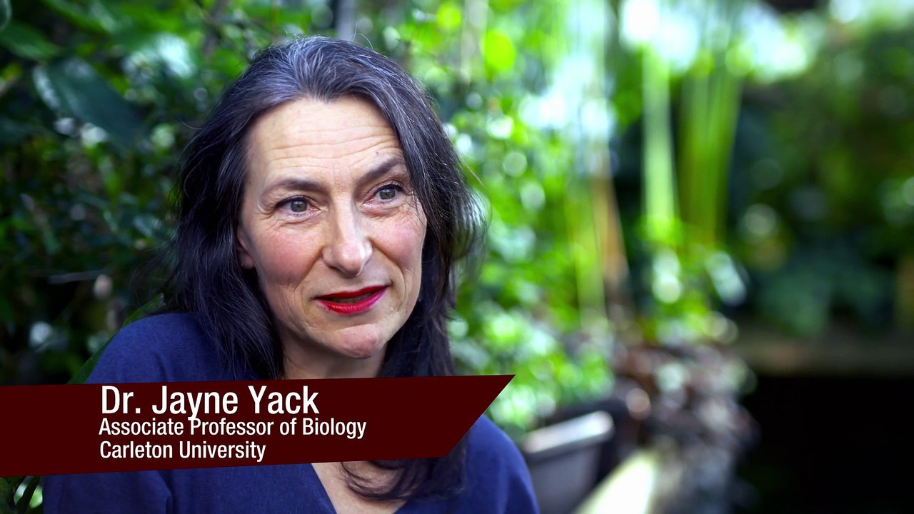 [Documentary] Attack and Defend Series 1 5of6 Masters of Defense