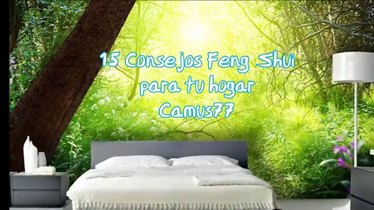  15 Consejos Feng Shui para tu Hogar 